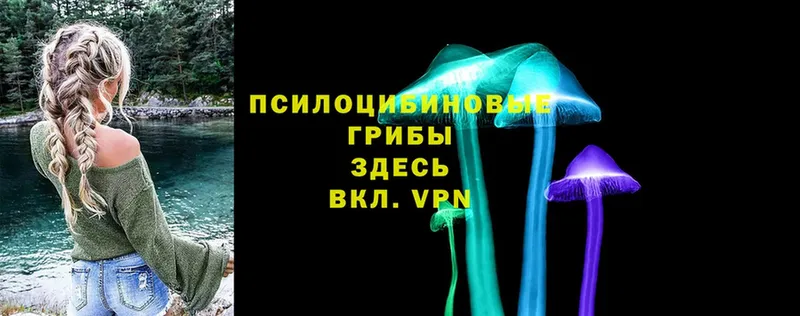 купить наркотики сайты  Советская Гавань  Псилоцибиновые грибы Psilocybe 